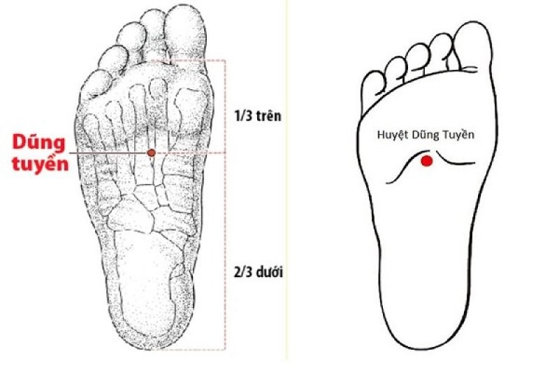 Bam hai huyet nay se giup ban co giac ngu ngon-Hinh-3