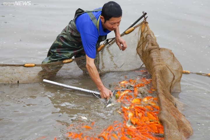 Ngay cung ong Cong ong Tao nam nay, lang ca chep do boi thu-Hinh-9