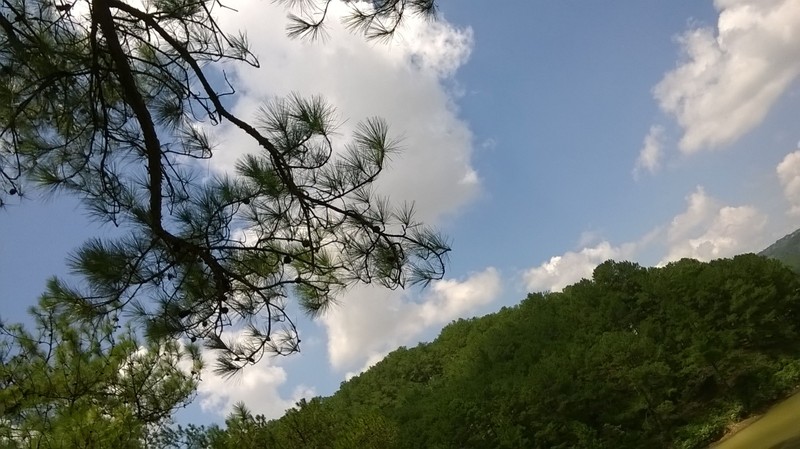 Cuoc gap hai hung cua co gai voi “yeu rau xanh” tren doi vang-Hinh-6