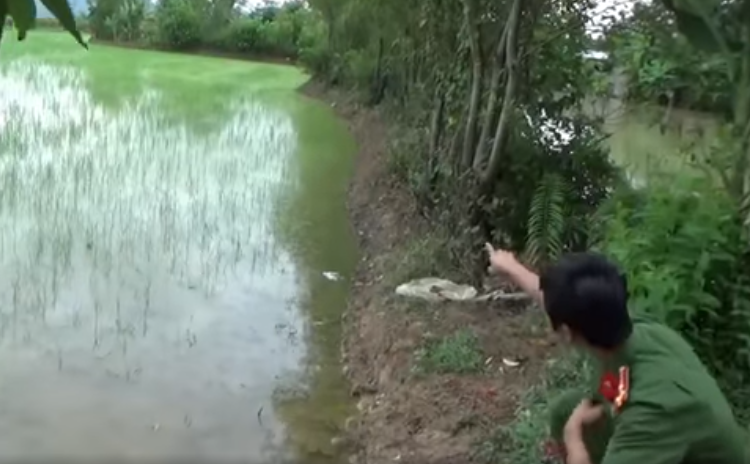 Giang bay dien diet chuot ngoai dong khien 2 nguoi thuong vong o Thanh Hoa