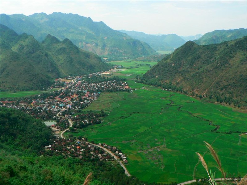 Cai chet tuc tuoi cua co gai chan bo tren nui vang-Hinh-5