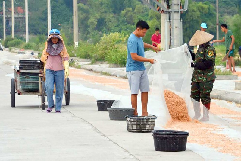 Ngu dan dao Ngoc Vung kiem tien trieu moi ngay nho xuc tep-Hinh-2