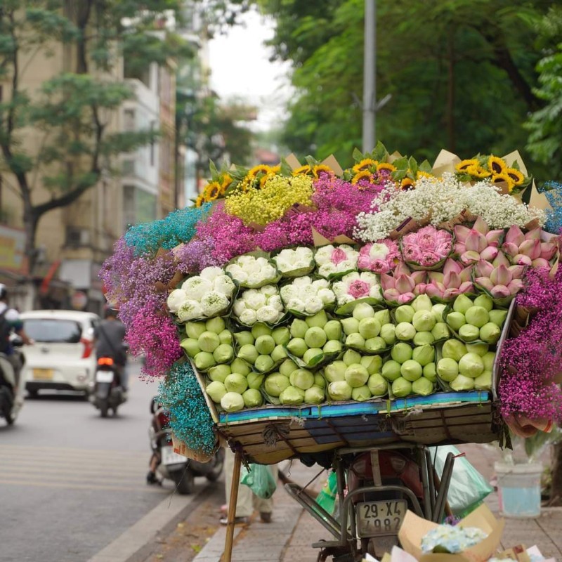 Du bao thoi tiet ngay 31/8: Mien Bac nang nong, Mien Nam mua to