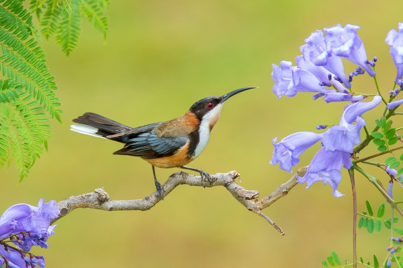 Thang 8 Am lich, 3 con giap khoi dau ruc ro, tai van gia tang