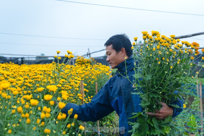 Lang hoa Tay Tuu tat bat chuan bi vao vu Tet-Hinh-12