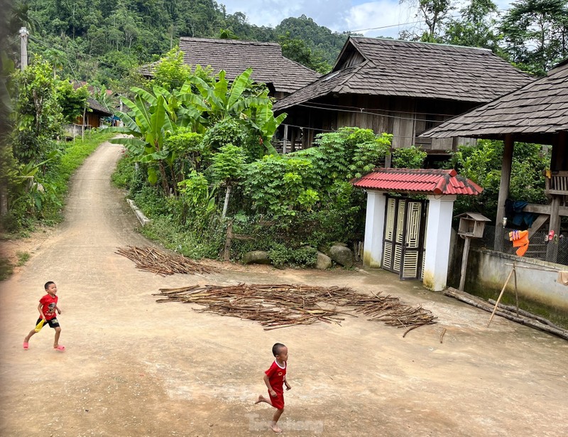 Doc dao nep nha san lam tu go samu quy hiem o ngoi lang Thai co-Hinh-19