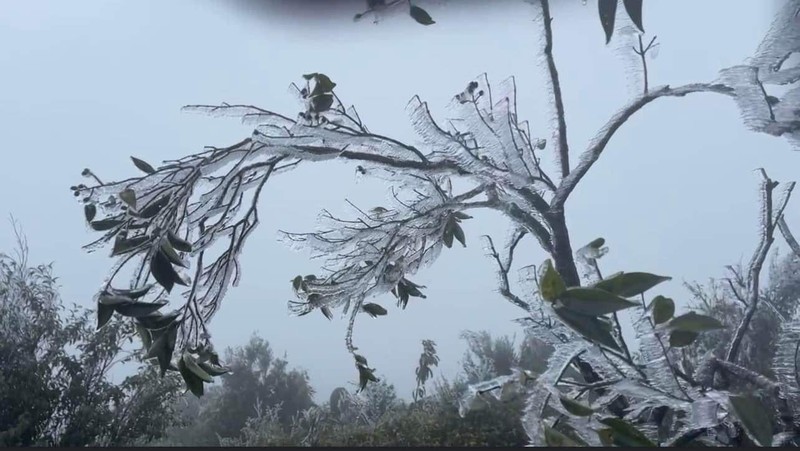 Băng giá phủ trắng, đỉnh Mẫu Sơn kỳ ảo như châu Âu - Hình 11 Bang gia phu trang, dinh Mau Son ky ao nhu chau Au-Hinh-11
