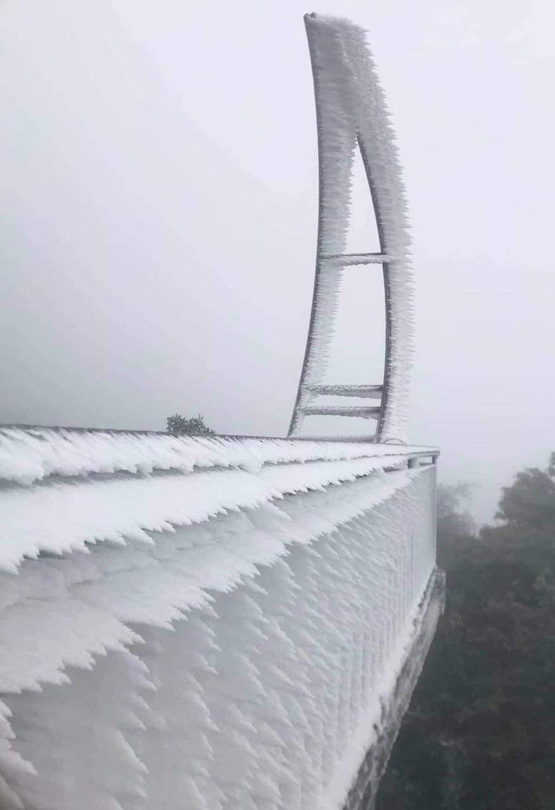 Băng giá phủ trắng, đỉnh Mẫu Sơn kỳ ảo như châu Âu - Hình 12 Bang gia phu trang, dinh Mau Son ky ao nhu chau Au-Hinh-12