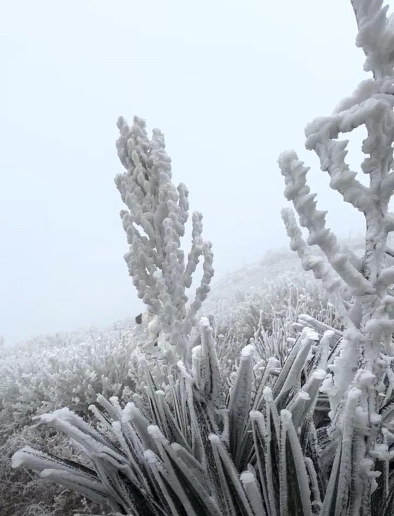 Bang gia phu trang, dinh Mau Son ky ao nhu chau Au-Hinh-3