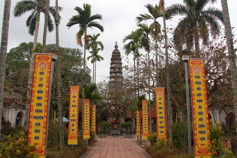 Chiem nguong bon cay co thu hang tram tuoi o chua Pho Minh