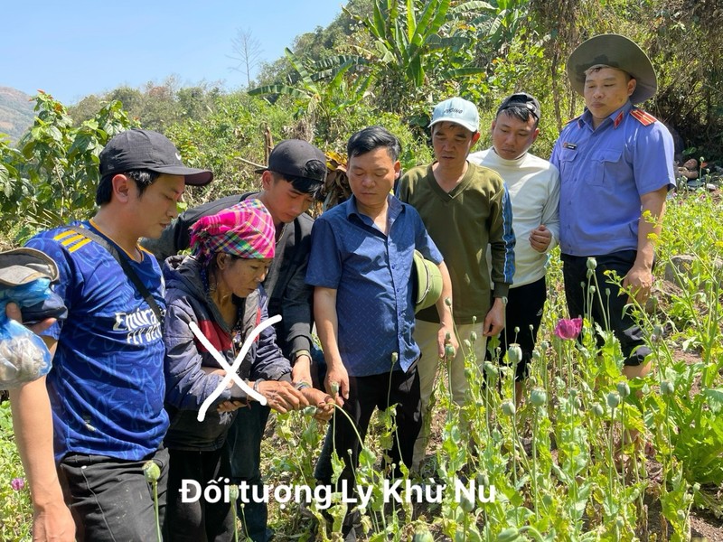 Lai Chau: Bat nu quai trong hon 3000 cay thuoc phien noi rung sau