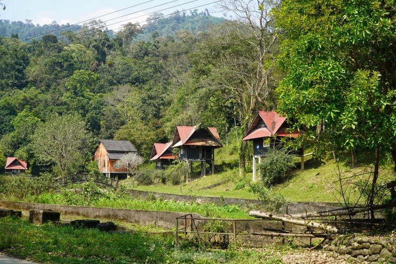 Co gi trong khu du lich sinh thai bo hoang giua rung Ha Tinh?-Hinh-2