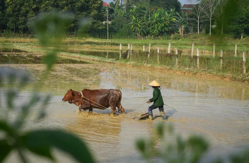 Hai thay giao di bo tu Ha Noi vao TP.HCM, gay quy cho tre em-Hinh-6