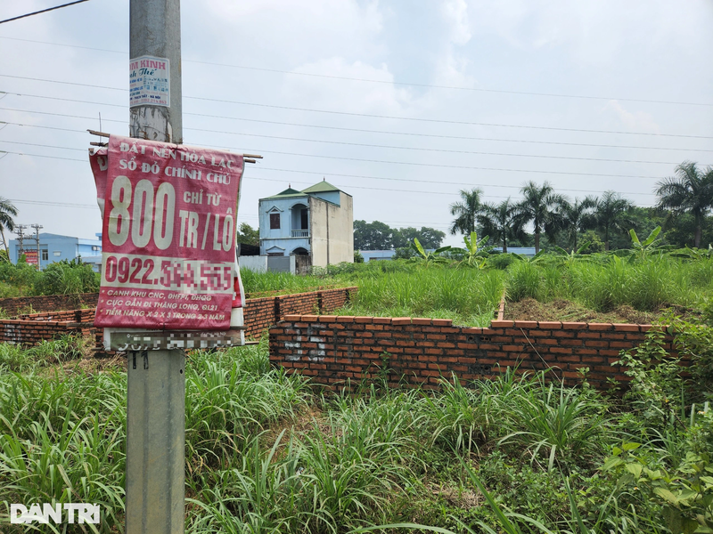 Dong tien duoc chuyen sang dat nen, nhung kho xay ra “sot