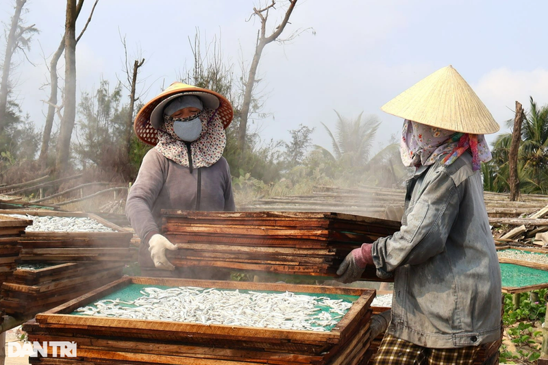 Ngu dan Quang Nam trung mua ca, lo hap ca chay het cong suat-Hinh-7