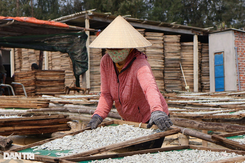 Ngu dan Quang Nam trung mua ca, lo hap ca chay het cong suat-Hinh-8