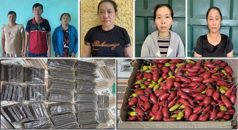 Thanh Hoa: Triet pha duong day mua ban vat lieu no quy mo lon