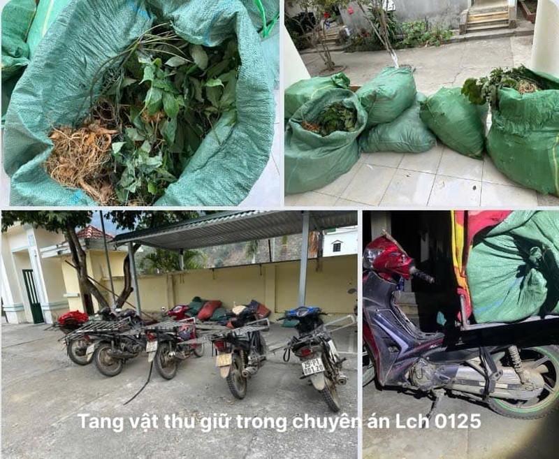 Bat nhom doi tuong thu giu hang ta sam nhap lau o Lai Chau-Hinh-2