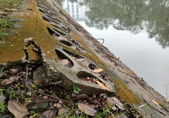 Ha Noi: Can canh 2 cong vien lon xuong cap, cho cai tao-Hinh-9