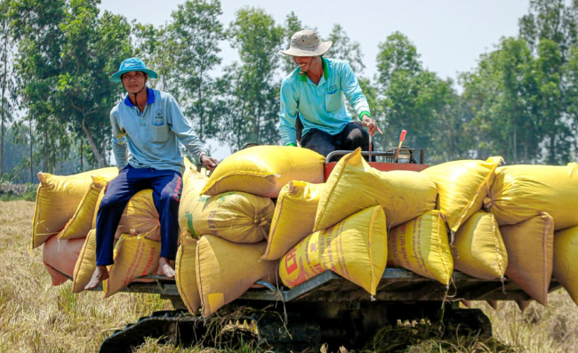 Tu thang 3/2025, nhieu chinh sach noi bat co hieu luc-Hinh-4