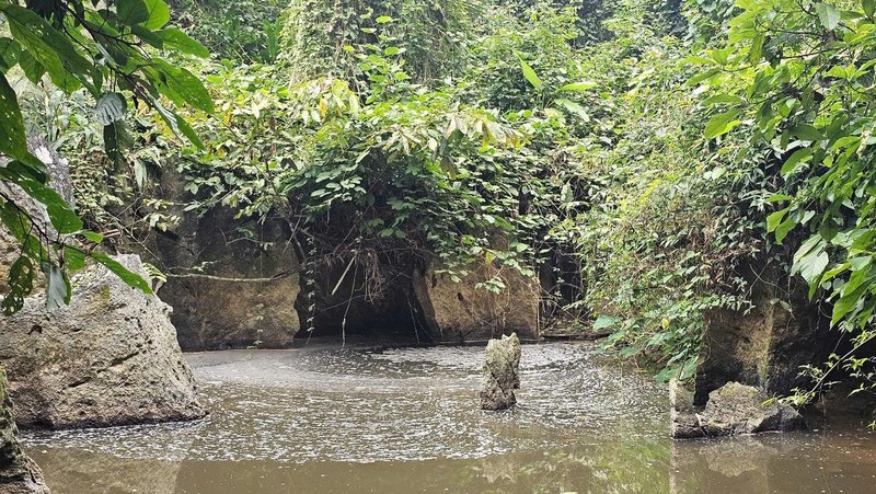 Nuoc suoi Len Co Noong bi o nhiem tu nuoc thai trang trai lon