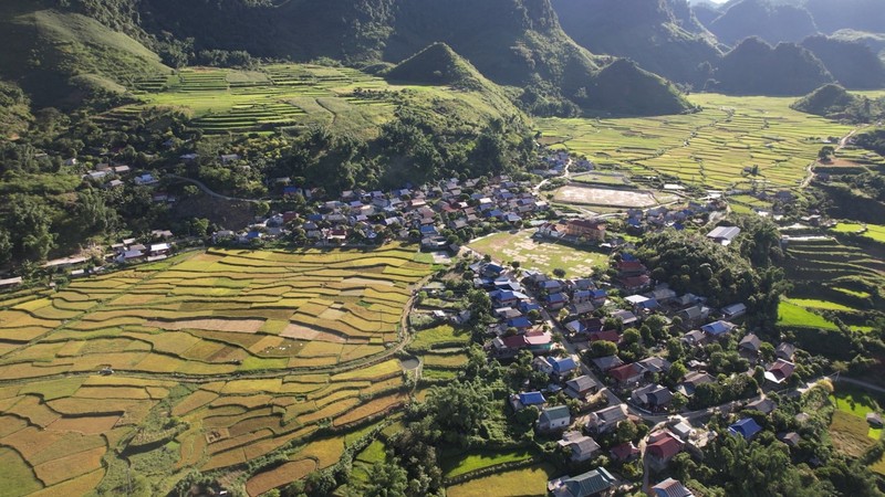 Thi the nguoi phu nu chay den vach mat ke sat nhan cuong dam