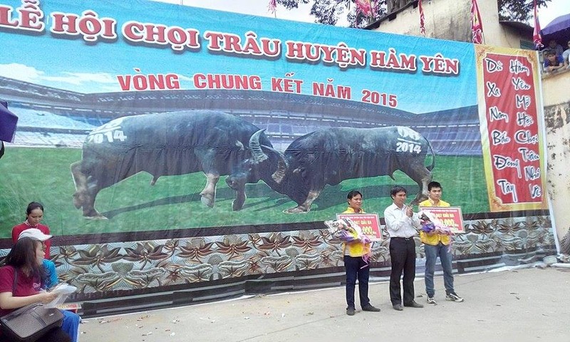 60.000 nguoi chen nhau xem hoi choi trau Ham Yen 2015-Hinh-12