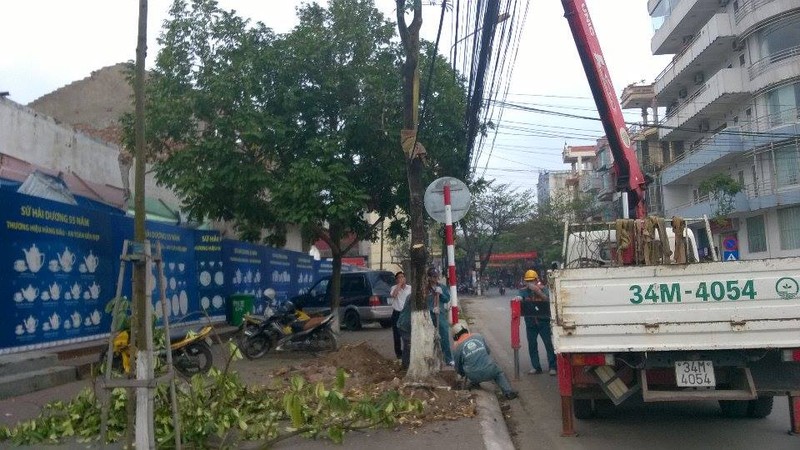 Kỳ lạ dan ủng họ chính quyèn trảm cay xanh ỏ Hải Duong