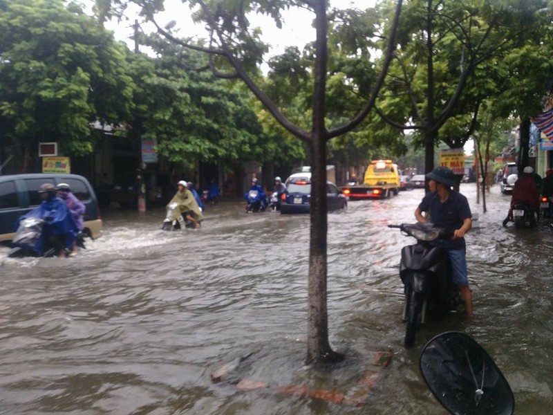 Canh o to boi trong nuoc lu o Hai Phong, Hai Duong-Hinh-6