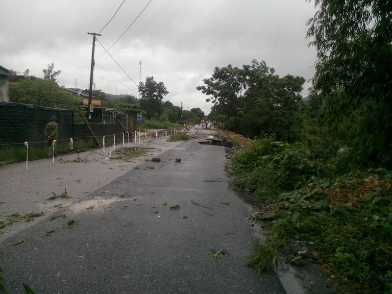 Canh Uong Bi, Quang Ninh chim trong nuoc lu-Hinh-11