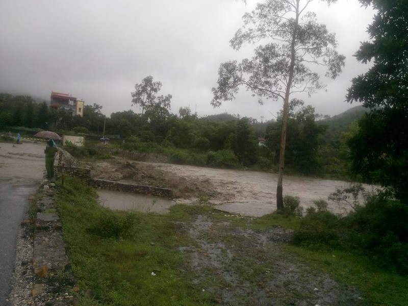 Canh Uong Bi, Quang Ninh chim trong nuoc lu-Hinh-2