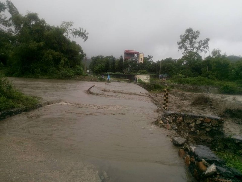 Canh Uong Bi, Quang Ninh chim trong nuoc lu-Hinh-3