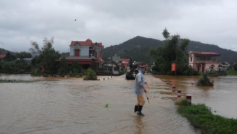 Canh Uong Bi, Quang Ninh chim trong nuoc lu-Hinh-4