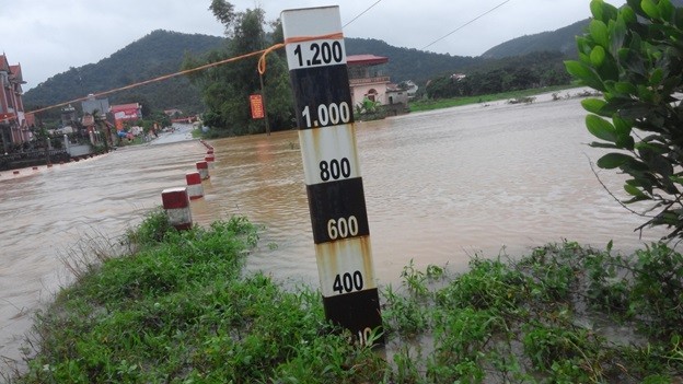 Canh Uong Bi, Quang Ninh chim trong nuoc lu-Hinh-5