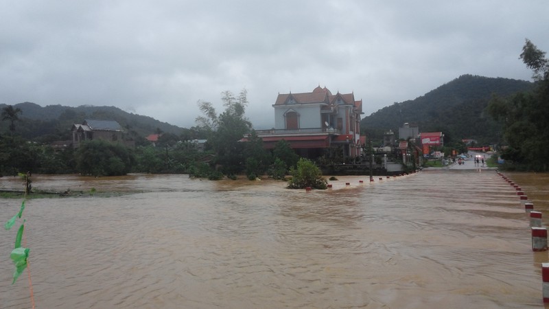 Canh Uong Bi, Quang Ninh chim trong nuoc lu-Hinh-9