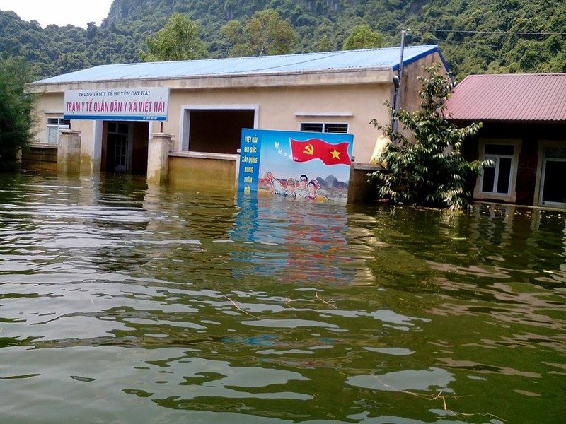 Hai Phong: Nang do lua, Viet Hai van khon kho vi ngap lut-Hinh-7