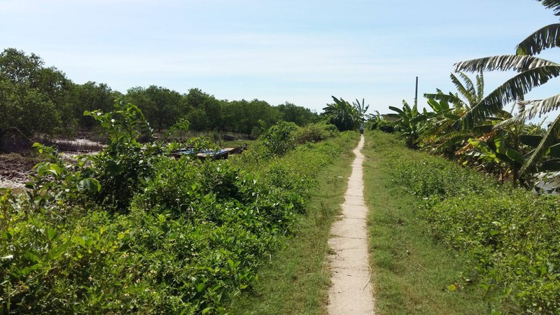 Gia dinh, vuon tuoc, khu dam nha ong Vuon gio ra sao?-Hinh-8