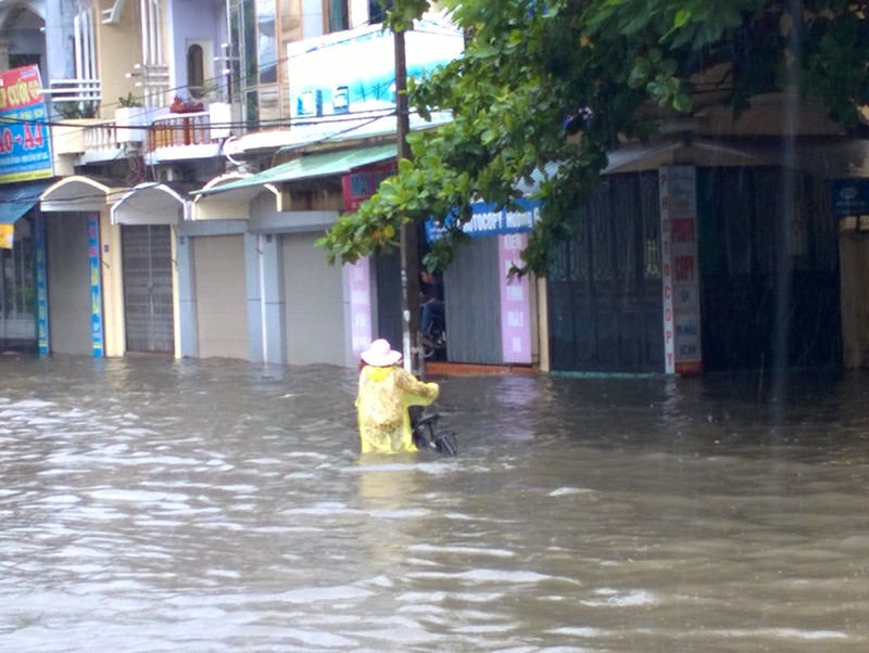 TP Hai Duong 