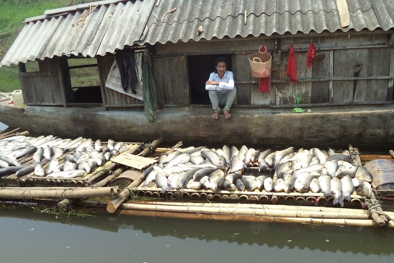 Nhung vu viec bao dong ve van de moi truong nam 2016-Hinh-8