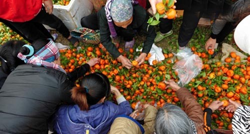 Nhung phien cho Tet doc dao cua nguoi Viet-Hinh-8