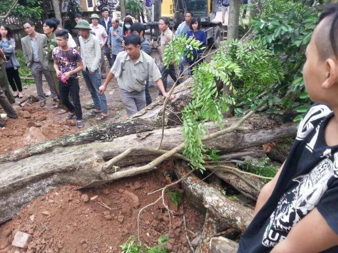 26 ty ban cay sua o Bac Ninh duoc chia cho nhung ai?