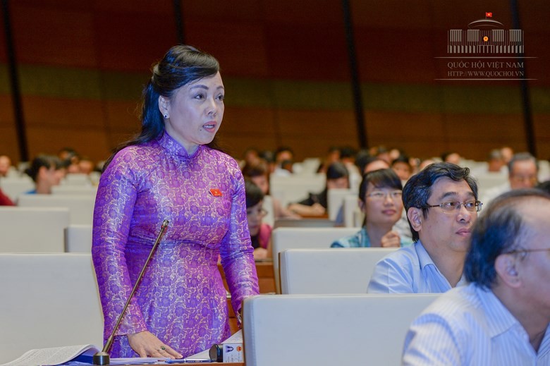 Hai Bo truong Y te, Ke hoach - Dau tu dang dan tra loi chat van