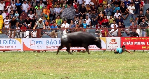 Hai Phong: Thot tim canh trau choi tan cong “chu nhan” tren san dau-Hinh-2