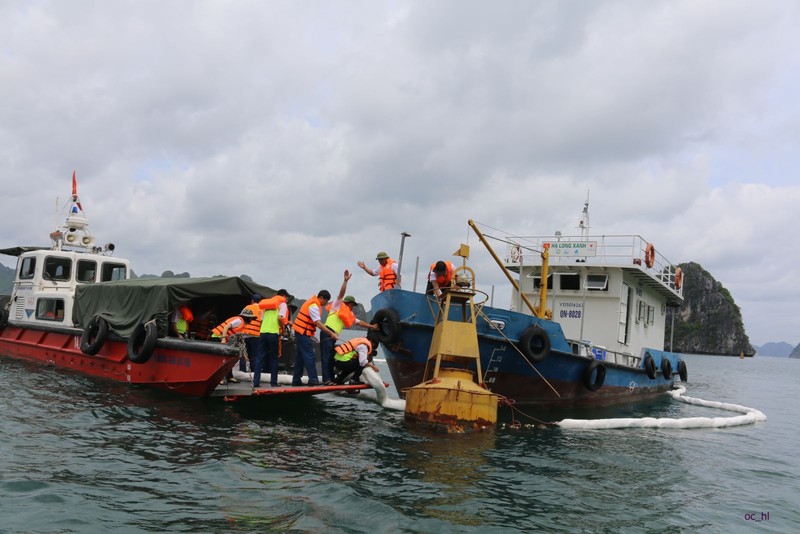 Nguyen nhan ban dau su co tran dau o vung bien Ha Long