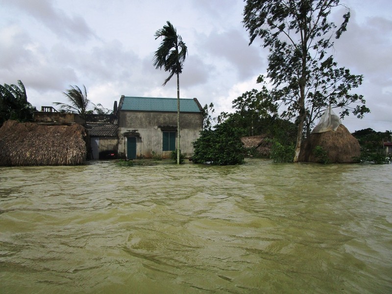 Nhung hinh anh tang thuong vung lu Thanh Hoa-Hinh-3