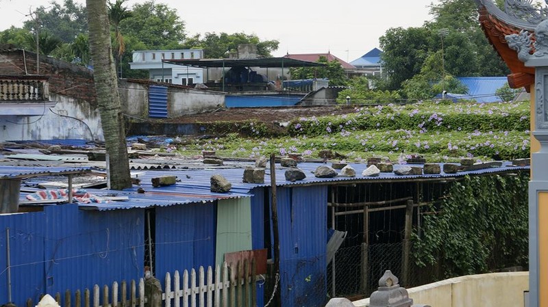 Dem nay bao do bo Hai Phong den Nghe An, cac tinh da san sang ung pho-Hinh-5