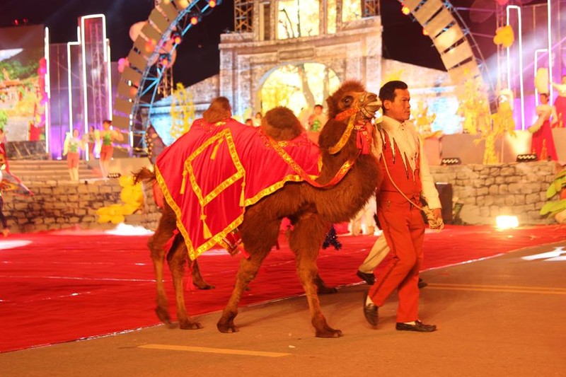 Anh: Hang nghin nguoi tham gia le hoi duong pho Carnaval Hai Duong-Hinh-15