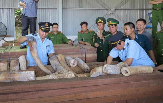 Pho Thu tuong giao Bo Cong an khan truong dieu tra vu 9,1 tan nga voi nhap lau