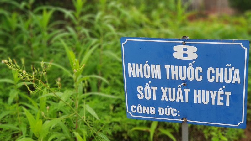 Hang nghin nguoi du le hoi den Bia, tuong nho vi “Thanh thuoc Nam” Tue Tinh-Hinh-5