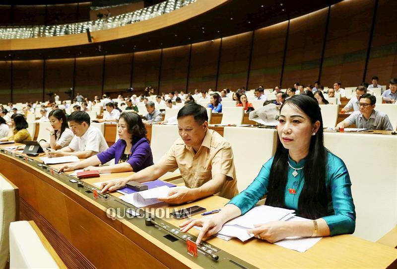 Quoc hoi thong qua giam sat toi cao viec phong, chong xam hai tre em